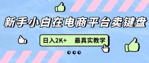 (11610期)新手小白在电商平台卖键盘,日入2K+最真实教学-川川创富网