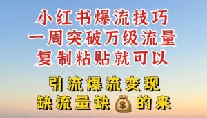 小红书爆流技巧,一周突破万级流量,复制粘贴就可以,引流爆流变现【揭秘】-川川创富网