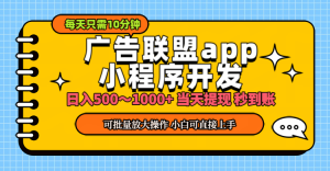(11645期)小程序开发 广告赚钱 日入500~1000+ 小白轻松上手!-川川创富网