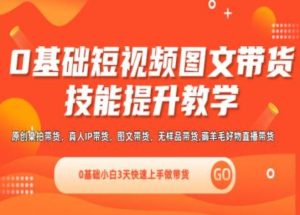 0基础短视频图文带货实操技能提升教学(直播课+视频课),0基础小白3天快速上手做带货-川川创富网