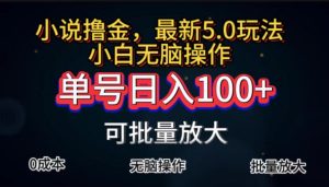 （11651期）全自动小说撸金，单号日入100+小白轻松上手，无脑操作-川川创富网