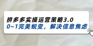 (11658期)2024_2025拼多多实操运营策略3.0,0~1完美蜕变,解决信息焦虑(38节)-川川创富网