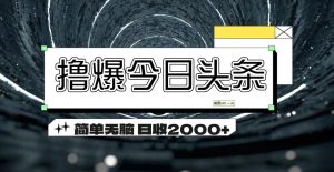 （11665期）撸爆今日头条 简单无脑操作 日收2000+-川川创富网