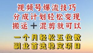 视频号爆流技巧,分成计划轻松变现,搬运 +混剪就可以,一个月轻松五位数稳定项目【揭秘】-川川创富网