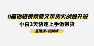 0基础短视频图文带货实战提升班,小白3天快速上手做带货(直播课+视频课)-川川创富网