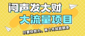 （11688期）闷声发大财，大流量项目，月收益过3万，只要你努力，两个月就能翻身-川川创富网