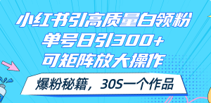 (11692期)小红书引高质量白领粉,单号日引300+,可放大操作,爆粉秘籍!30s一个作品-川川创富网