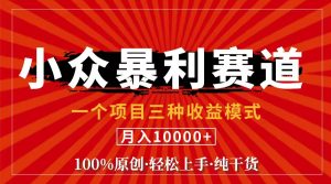 (11695期)视频号【中老年粉深信不疑】小众赛道 100%原创 手把手教学 新号3天收益…-川川创富网