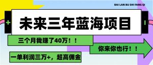 (11716期)未来三年,蓝海赛道,月入3万+-川川创富网