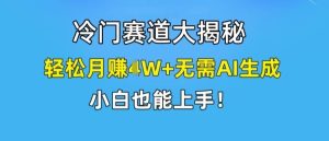 冷门赛道大揭秘,轻松月赚1W+无需AI生成,小白也能上手【揭秘】-川川创富网