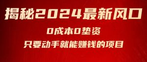 (11727期)揭秘2024最新风口,0成本0垫资,新手小白只要动手就能赚钱的项目—空调-川川创富网