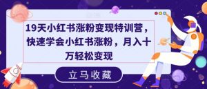 19天小红书涨粉变现特训营,快速学会小红书涨粉,月入十万轻松变现-川川创富网