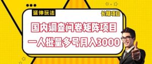 国内调查问卷矩阵项目,一人批量多号月入3000【揭秘】-川川创富网