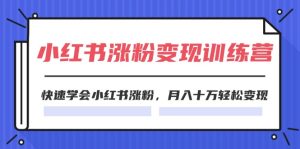 2024小红书19天涨粉变现特训营,快速学会小红书涨粉,月入十万轻松变现(42节)-川川创富网