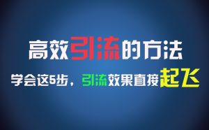 高效引流的方法,可以帮助你日引300+创业粉,一年轻松收入30万,比打工强太多!-川川创富网