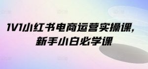 1V1小红书电商运营实操课,新手小白必学课-川川创富网