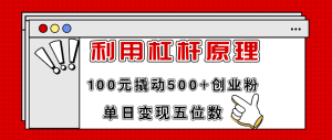 (11859期)利用杠杆100元撬动500+创业粉,单日变现5位数-川川创富网