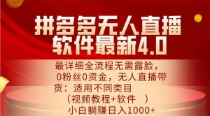 (11891期)拼多多无人直播软件最新4.0,最详细全流程无需露脸,0粉丝0资金, 小白…-川川创富网