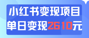（11885期）利用小红书卖资料单日引流150人当日变现2610元小白可实操（教程+资料）-川川创富网