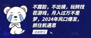 不露脸，不出镜，玩转找茬游戏，月入过万不是梦，2024年风口爆发，抓住机遇【揭秘】-川川创富网