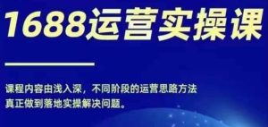 1688实操运营课,零基础学会1688实操运营,电商年入百万不是梦-川川创富网