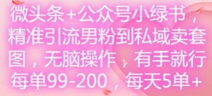 微头条+公众号小绿书,精准引流男粉到私域卖套图,无脑操作,有手就行,每单99-200,每天5单-川川创富网