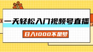（11906期）一天入门视频号直播带货，日入1000不是梦-川川创富网