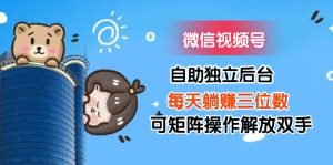 （11910期）微信视频号自助独立后台每天躺赚三位数可矩阵操作解放双手-川川创富网