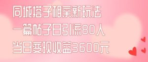 同城搭子相亲新玩法一篇帖子引流80人当日变现3600元(项目教程+实操教程)【揭秘】-川川创富网