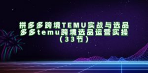 (11934期)拼多多跨境TEMU实战与选品,多多temu跨境选品运营实操(33节)-川川创富网