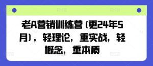老A营销训练营(更24年7月),轻理论,重实战,轻概念,重本质-川川创富网