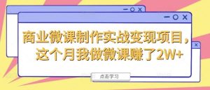 商业微课制作实战变现项目,这个月我做微课赚了2W+-川川创富网