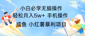 全网首发2024最暴利手机操作项目，简单无脑操作，每单利润最少500+-川川创富网