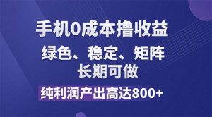 （11976期）纯利润高达800+，手机0成本撸羊毛，项目纯绿色，可稳定长期操作！-川川创富网