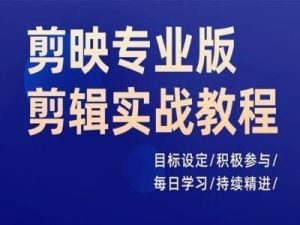 剪映专业版剪辑实战教程,目标设定/积极参与/每日学习/持续精进-川川创富网