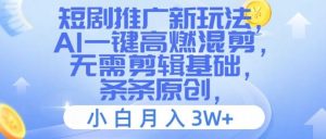短剧推广新玩法,AI一键高燃混剪,无需剪辑基础,条条原创,小白月入3W+【揭秘】-川川创富网
