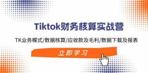 Tiktok财务核算实战营：TK业务模式/数据核算/应收款及毛利/数据下载及报表-川川创富网