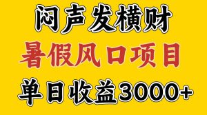 30天赚了7.5W 暑假风口项目,比较好学,2天左右上手-川川创富网