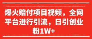 爆火赔付项目视频,全网平台进行引流,日引创业粉1W+【揭秘】-川川创富网