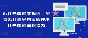 小红书电商实操课,全体系打造全方位梳理小红书电商逻辑体系-川川创富网