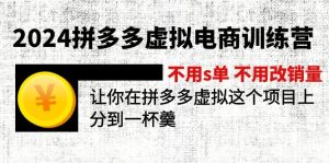 (12024期)2024拼多多虚拟电商训练营 不s单 不改销量  做虚拟项目分一杯羹(更新10节)-川川创富网