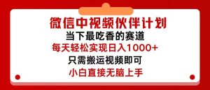 （12017期）微信中视频伙伴计划，仅靠搬运就能轻松实现日入500+，关键操作还简单，…-川川创富网
