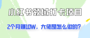 通过小红书领域打卡项目2个月赚10W,大佬是怎么做的?-川川创富网