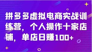 拼多多虚拟电商实战训练营,个人操作十家店铺,单店日赚100+-川川创富网