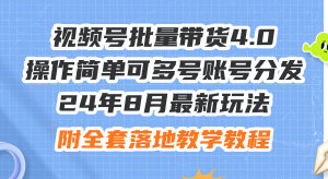 （12093期）24年8月最新玩法视频号批量带货4.0，操作简单可多号账号分发，附全套落…-川川创富网