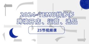（12106期）2024-TEMU拼多多·跨境开店、运营、选品（25节视频课）-川川创富网