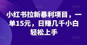 小红书拉新暴利项目,一单15元,日赚几千小白轻松上手-川川创富网