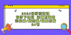 2024钩子引流课:钩子下得好流量不再愁,定位篇/标签篇/破播放篇/24节-川川创富网