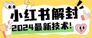 2024最新小红书账号封禁解封方法,无限释放手机号-川川创富网