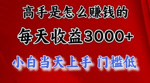 （12144期）1天收益3000+，月收益10万以上，24年8月份爆火项目-川川创富网
